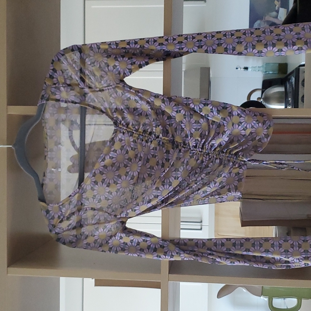 Urban Outfitters Sheer Top